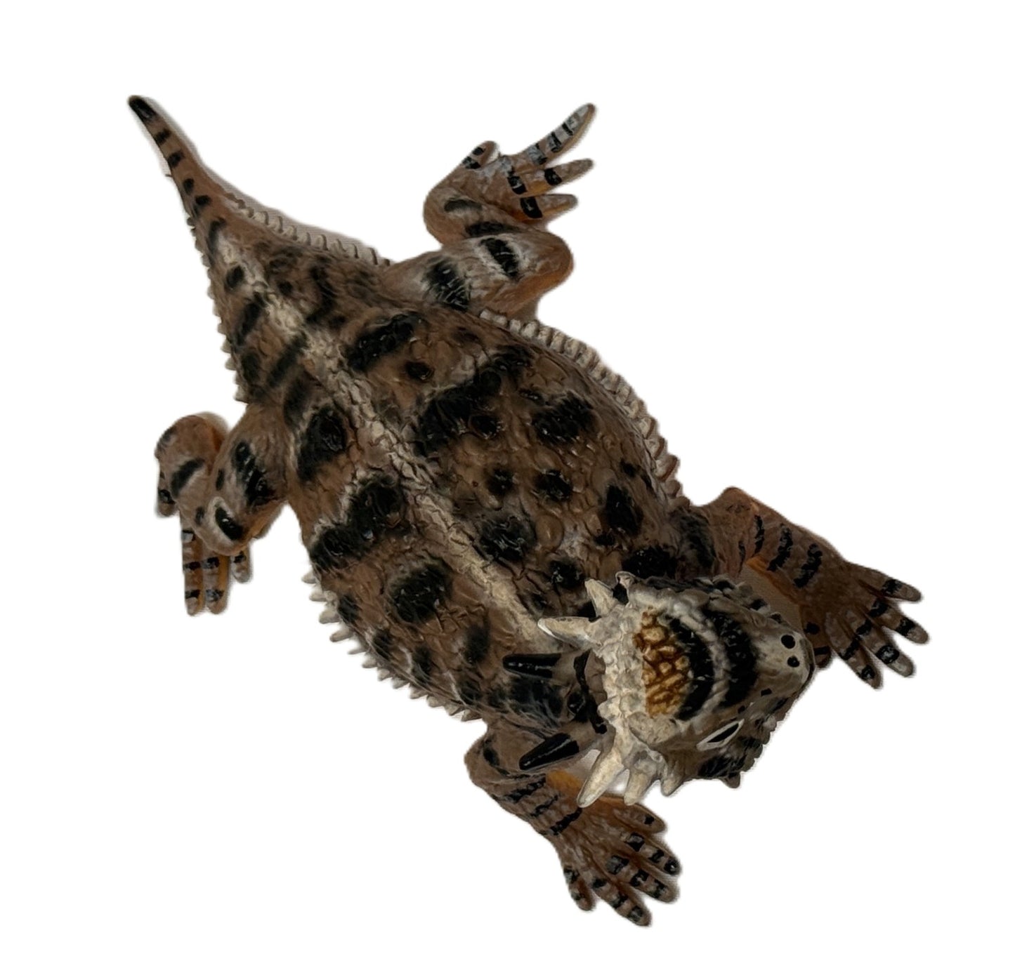 Horned Lizard Figurine 6"