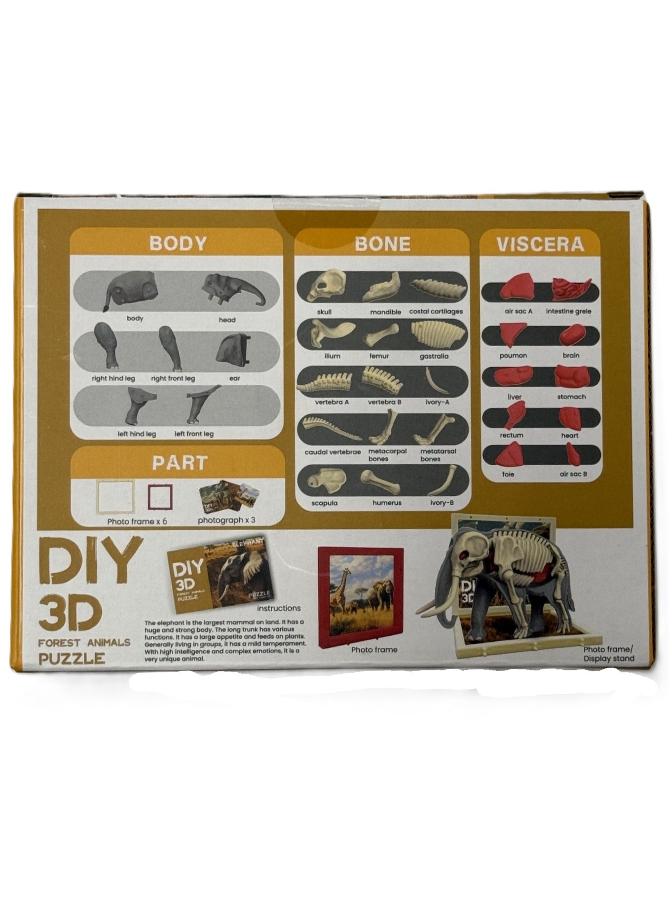 3D DIY Body & Bone Elephant Puzzle-STEM
