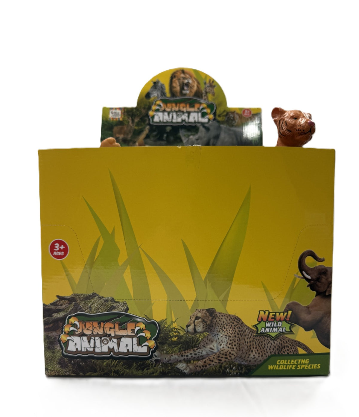 Display Box of Orange Tiger Cubs (24 pcs)
