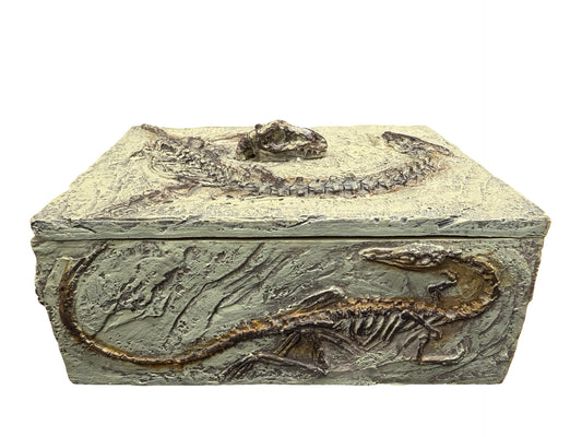 Resin Dinosaur Box Decor