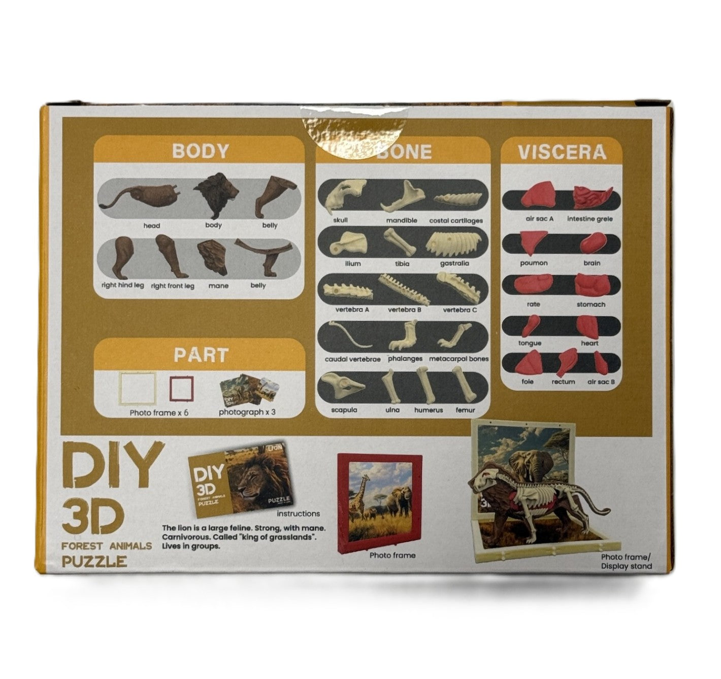 3D DIY Lion Body and Bone Puzzle - STEM