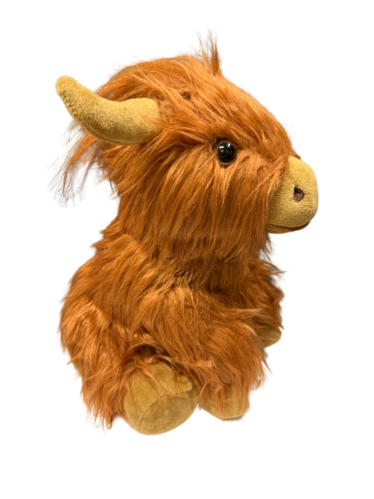 Fluffy Highland Cow