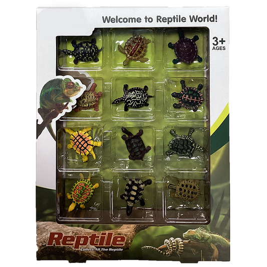 Reptile Retail Window Box with Assorted 12 Turtle Figurines