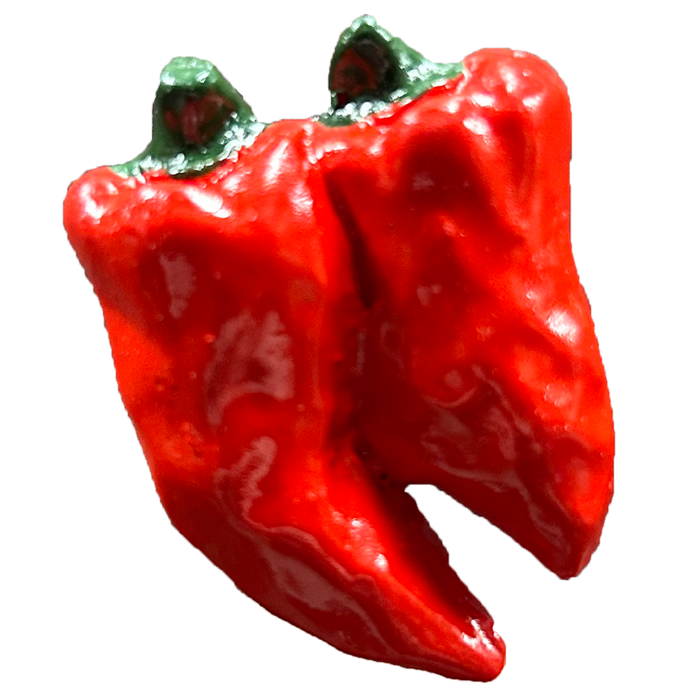 Chile Peppers Spicy Fridge Magnets