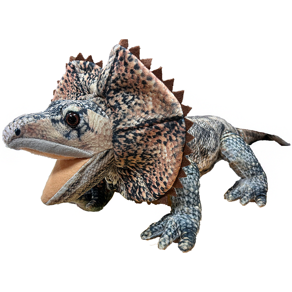 Frilled Lizard Reptile Plush 23.5" Stuffed Animal