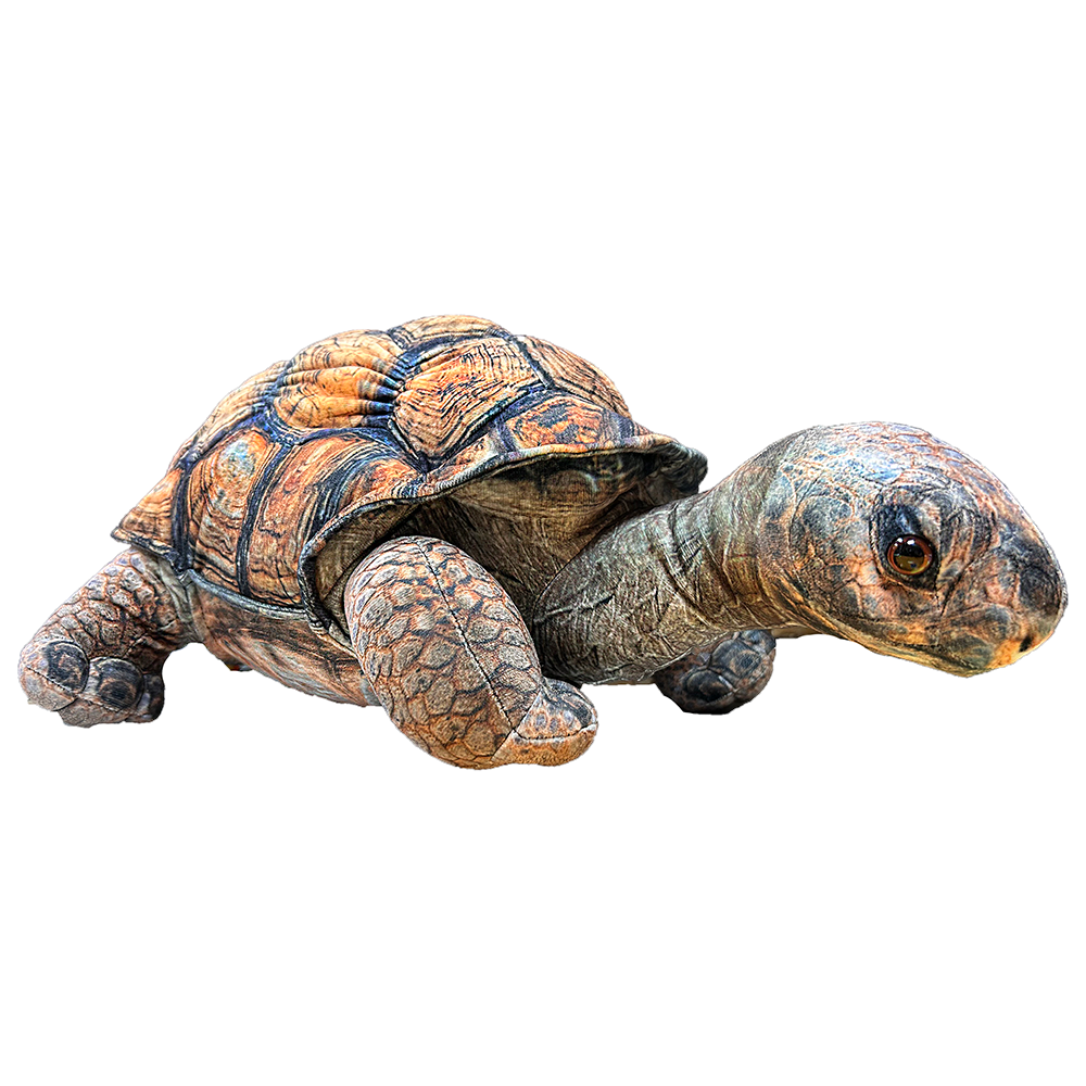 Galapagos Giant Tortoise Plush 17.7" Stuffed Animal