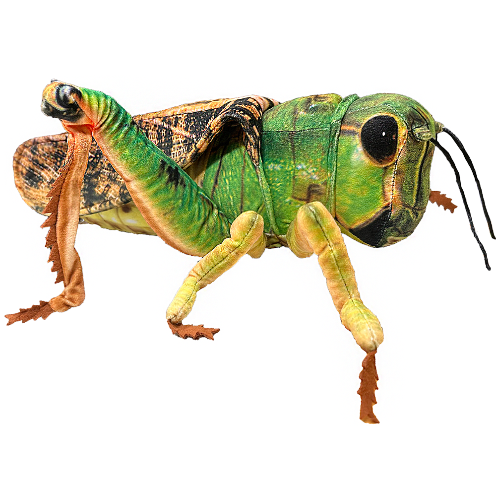 Grasshopper Insect Plush 15" Realistic Stuffed Animal
