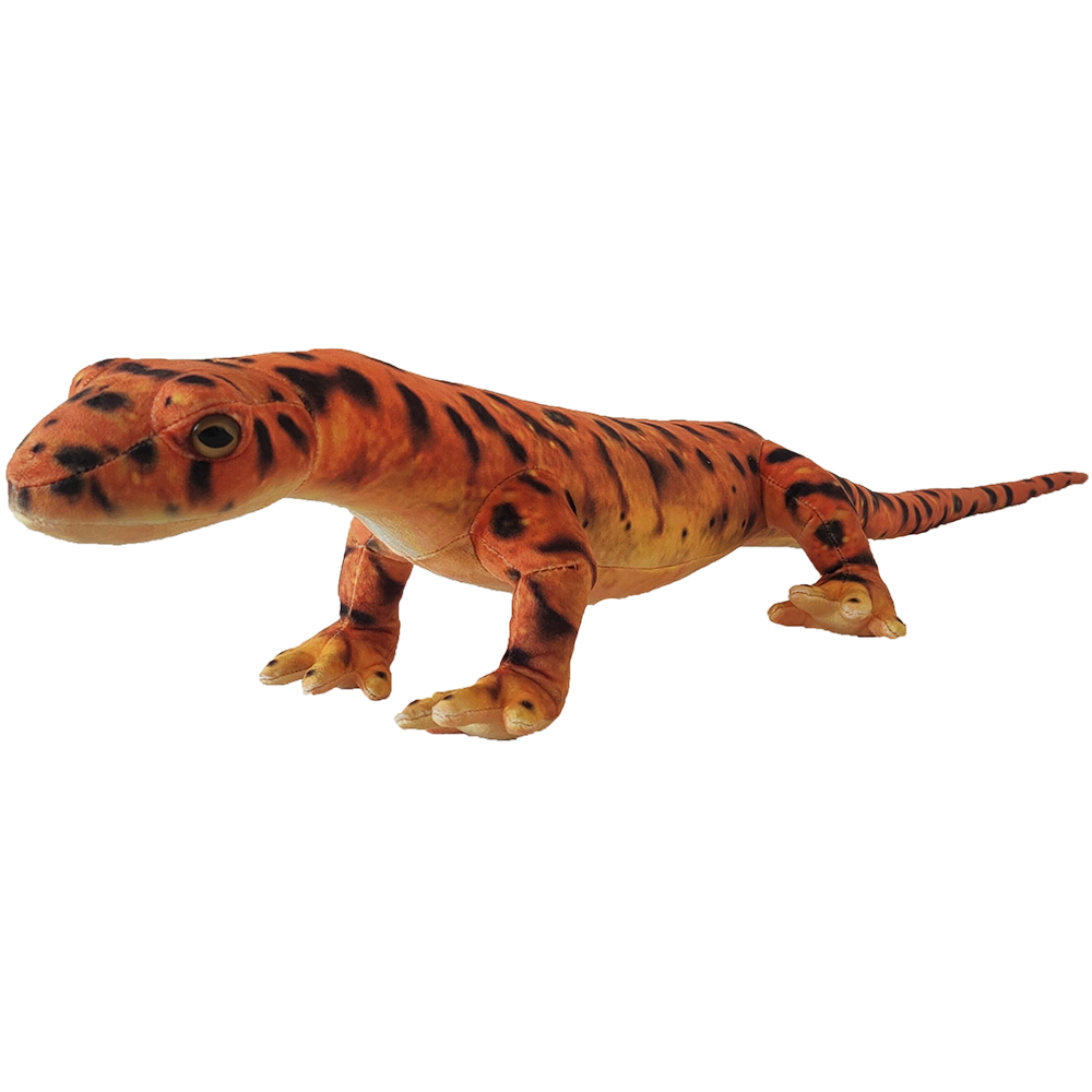 Salamander top stuffed animal