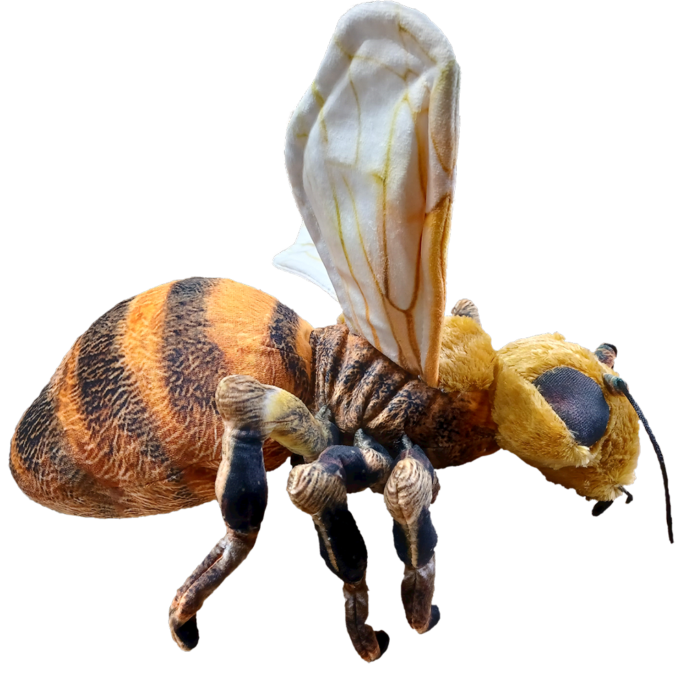 Bee 14 Plush Stuffed Animal – Texas Toy Distribution