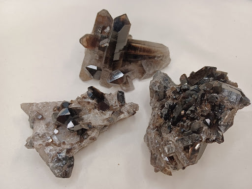 Black Quartz - DinosOnly.com