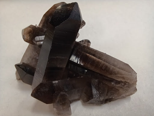 Black Quartz - DinosOnly.com