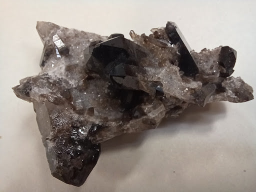 Black Quartz - DinosOnly.com