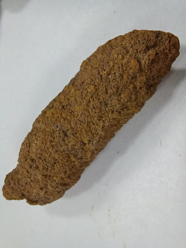 Coprolite - DinosOnly.com
