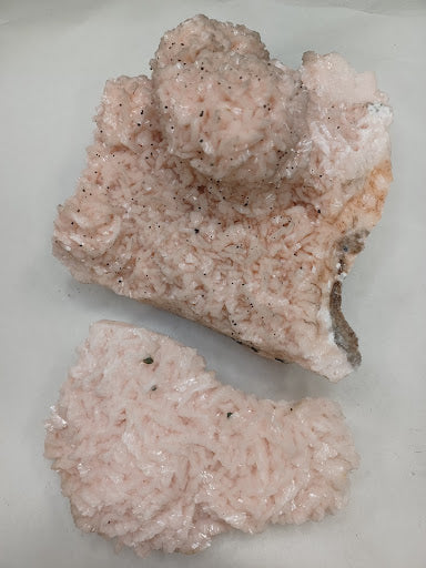Dolomite - DinosOnly.com