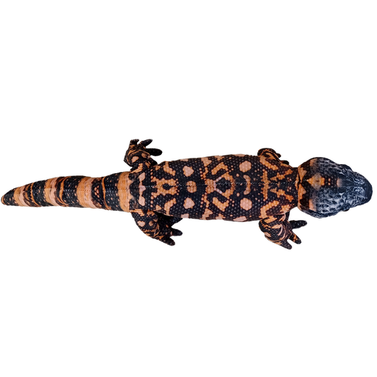 Gila Monster 24.5" Plush Desert Stuffed Animal