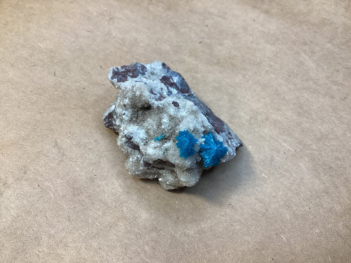 Cavansite on Stilbite - IA3 - DinosOnly.com