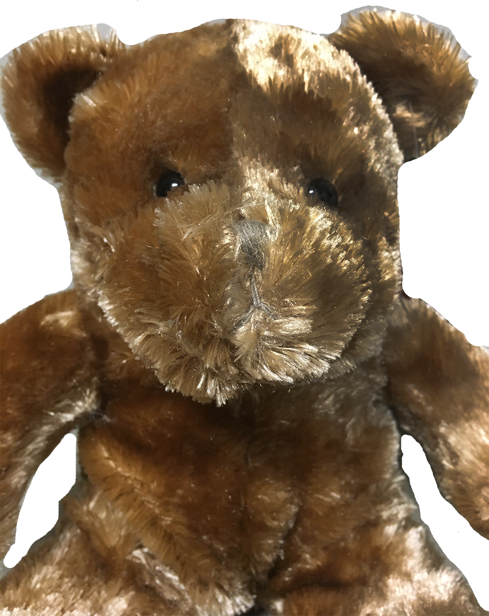 Teddy Bear 11.5" Tall Plush Stuffed Animal