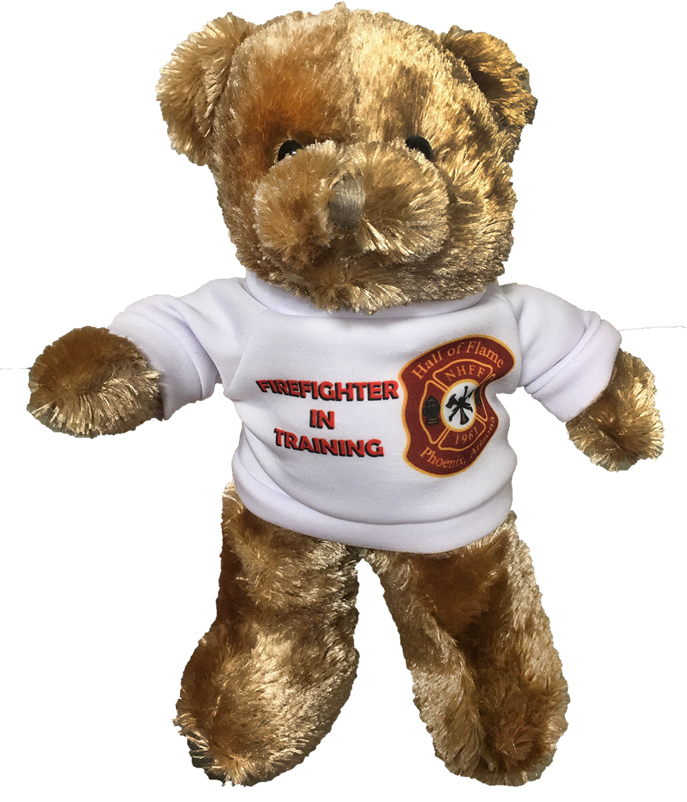 Teddy Bear 11.5" Tall Plush Stuffed Animal