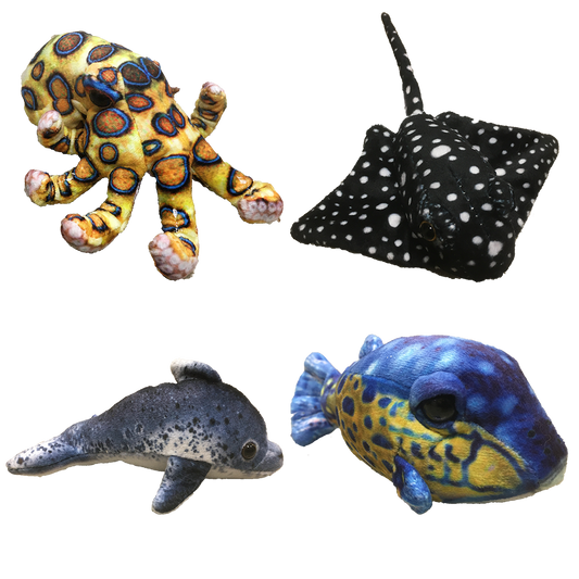 Aquatic Plushies 5" Stuffed Ocean Animals, Assortment of x4 Types