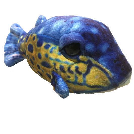 Small Box Fish 6" Aquatic Plush Blue Stuffed Animal
