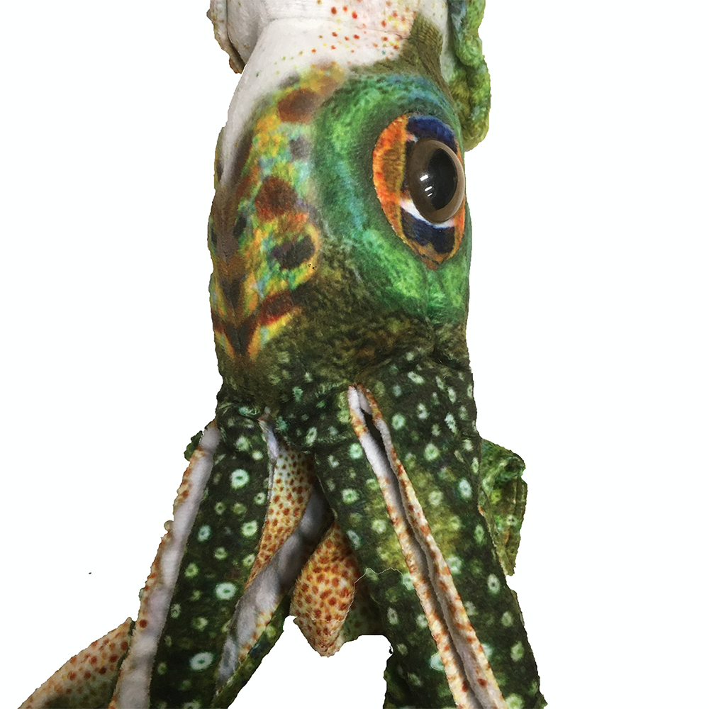 Squid 16" Cuttlefish Aquatic Plush Stuffed Animal Ocean Creature