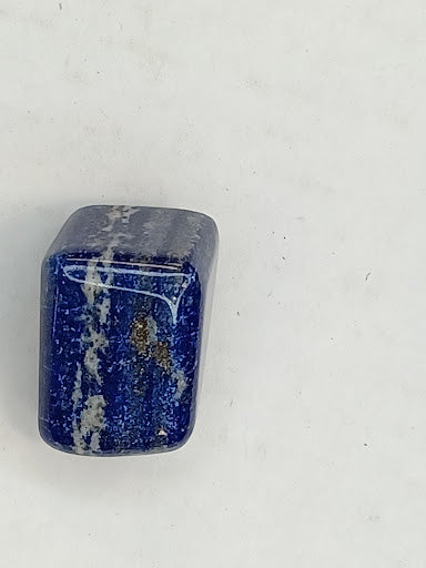 Lapis Lazuli - DinosOnly.com