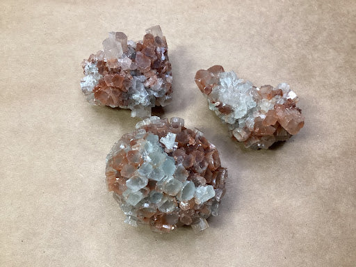 Medium Aragonite - DinosOnly.com