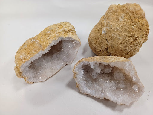 Quartz Geode - DinosOnly.com