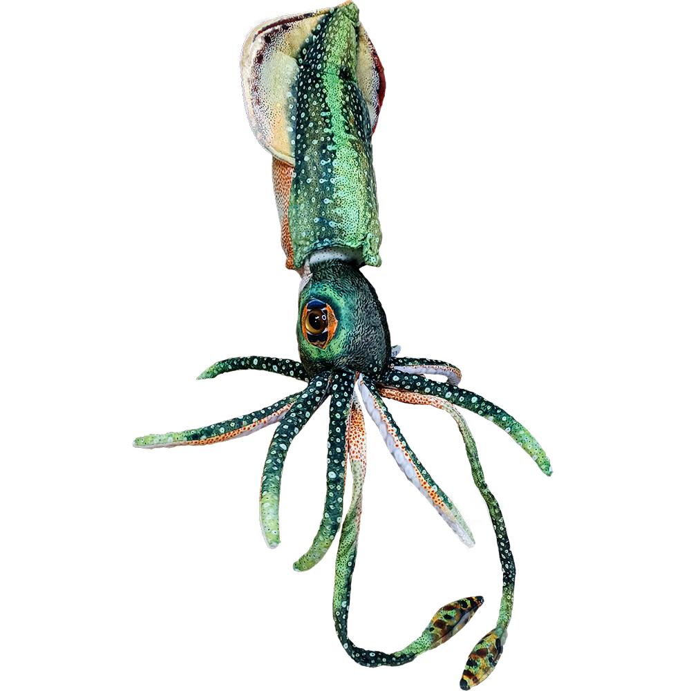 Cuttlefish shop stuffed animal