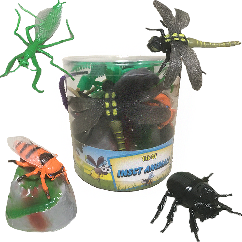 Insects 5