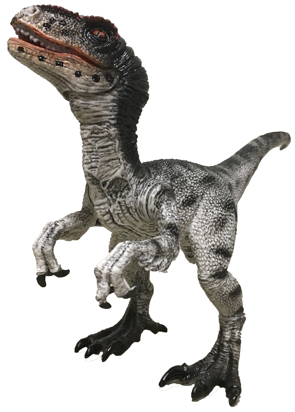 Black and White Velociraptor 6" Painted Resin Dinosaur Model Figure