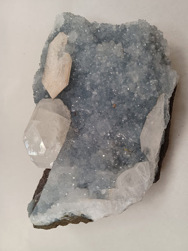 Zeolite - DinosOnly.com