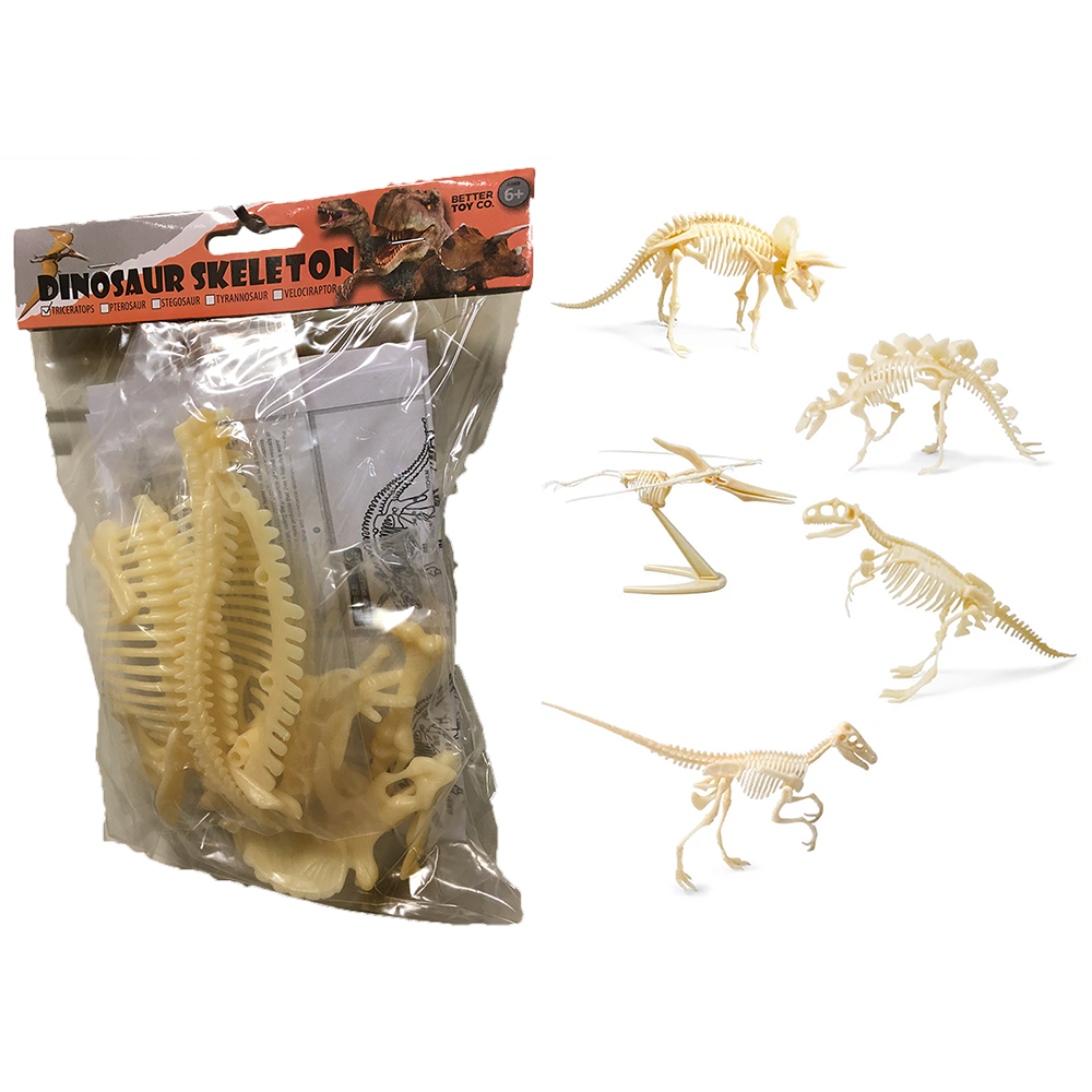 Plastic top dinosaur skeletons