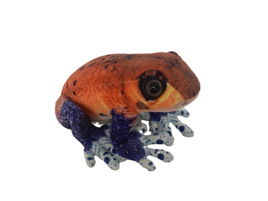 Poison Dart Frog 7" Plush Animal