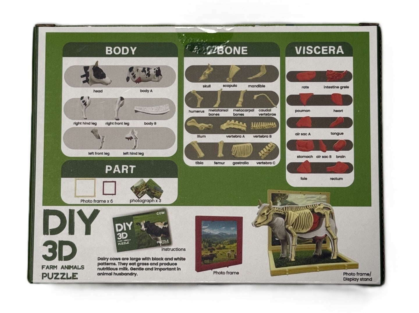 3D DIY Cow Body & Bone Puzzle-STEM