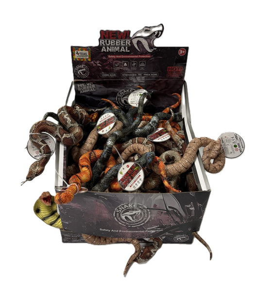 Assorted Snake Display Box (36 pcs)