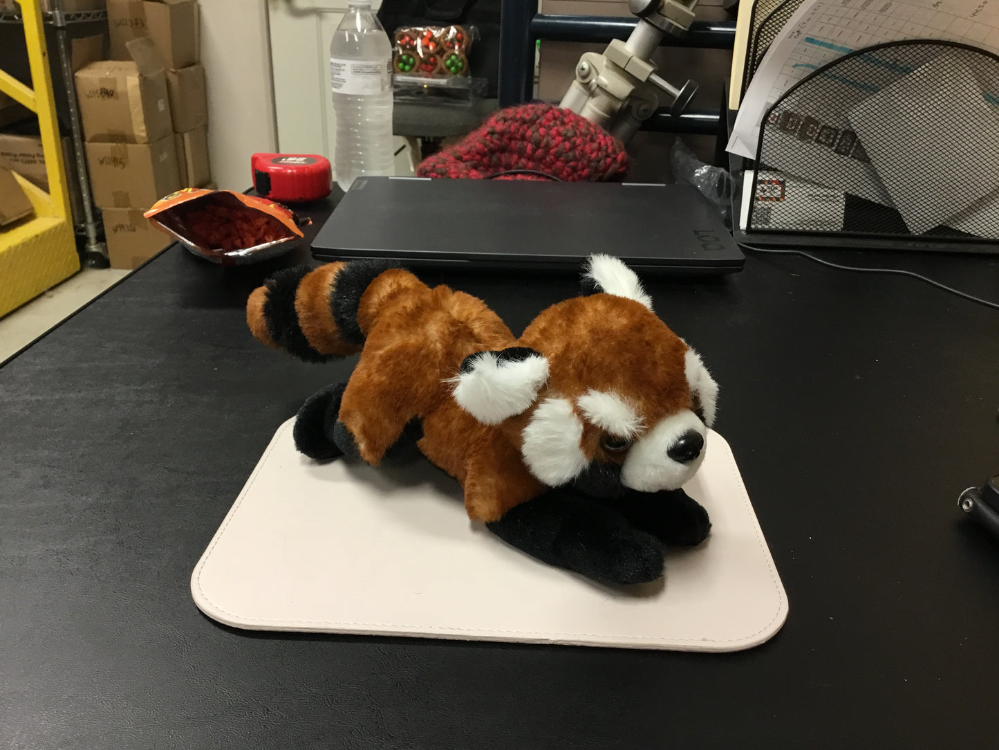 Red Panda plushie stuffed animal