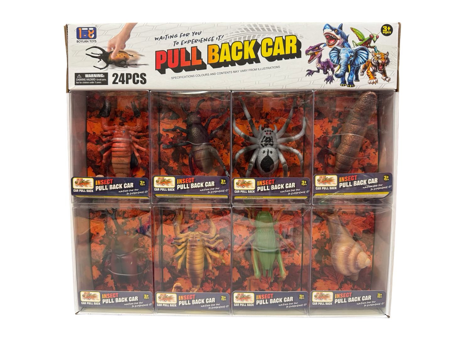 Pull-Back Insect Cars Display of 24