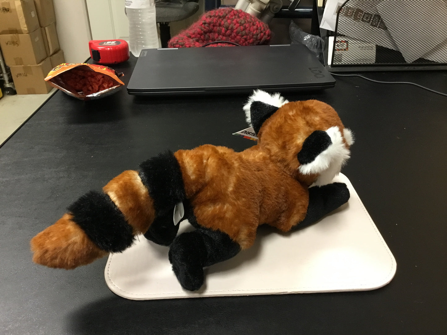 Red Panda plushie stuffed animal