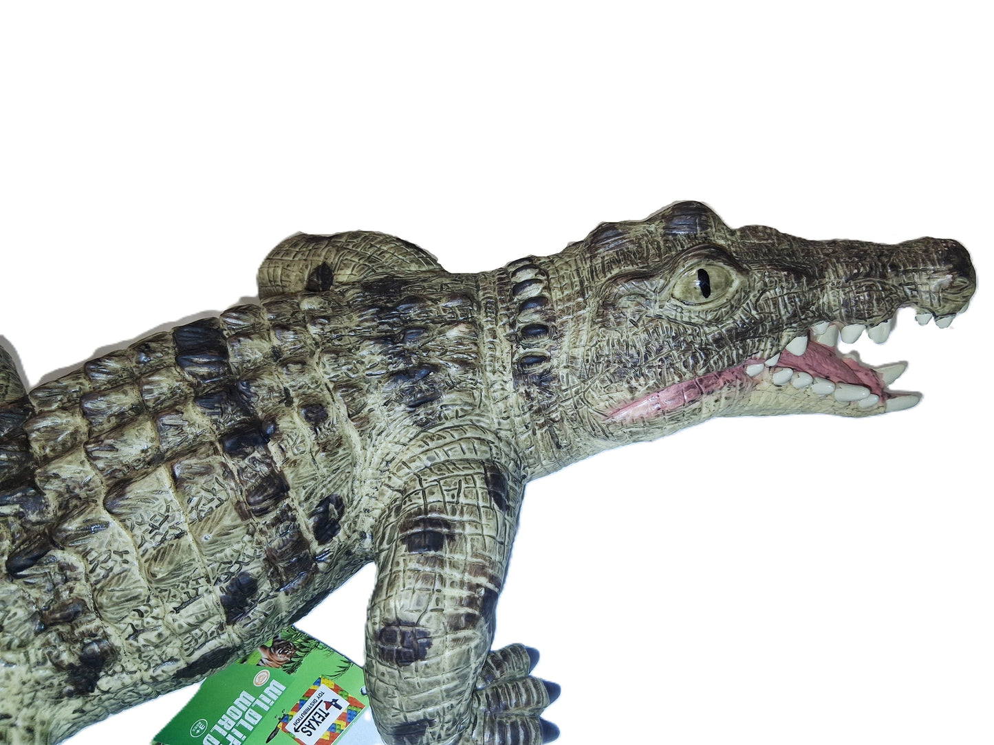 Large Nile Crocodile 26"