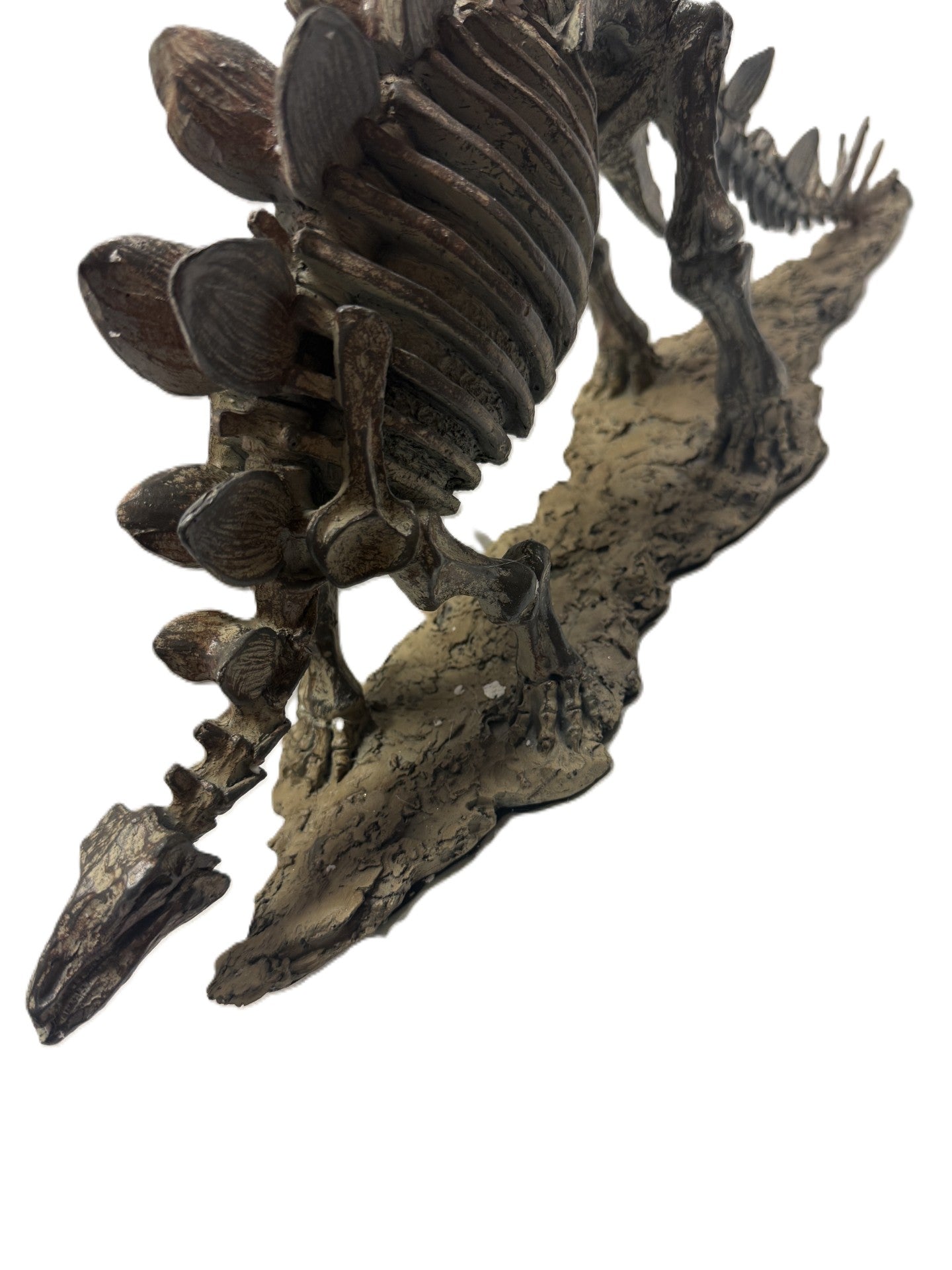 Polyresin Stegosaurus Skeleton