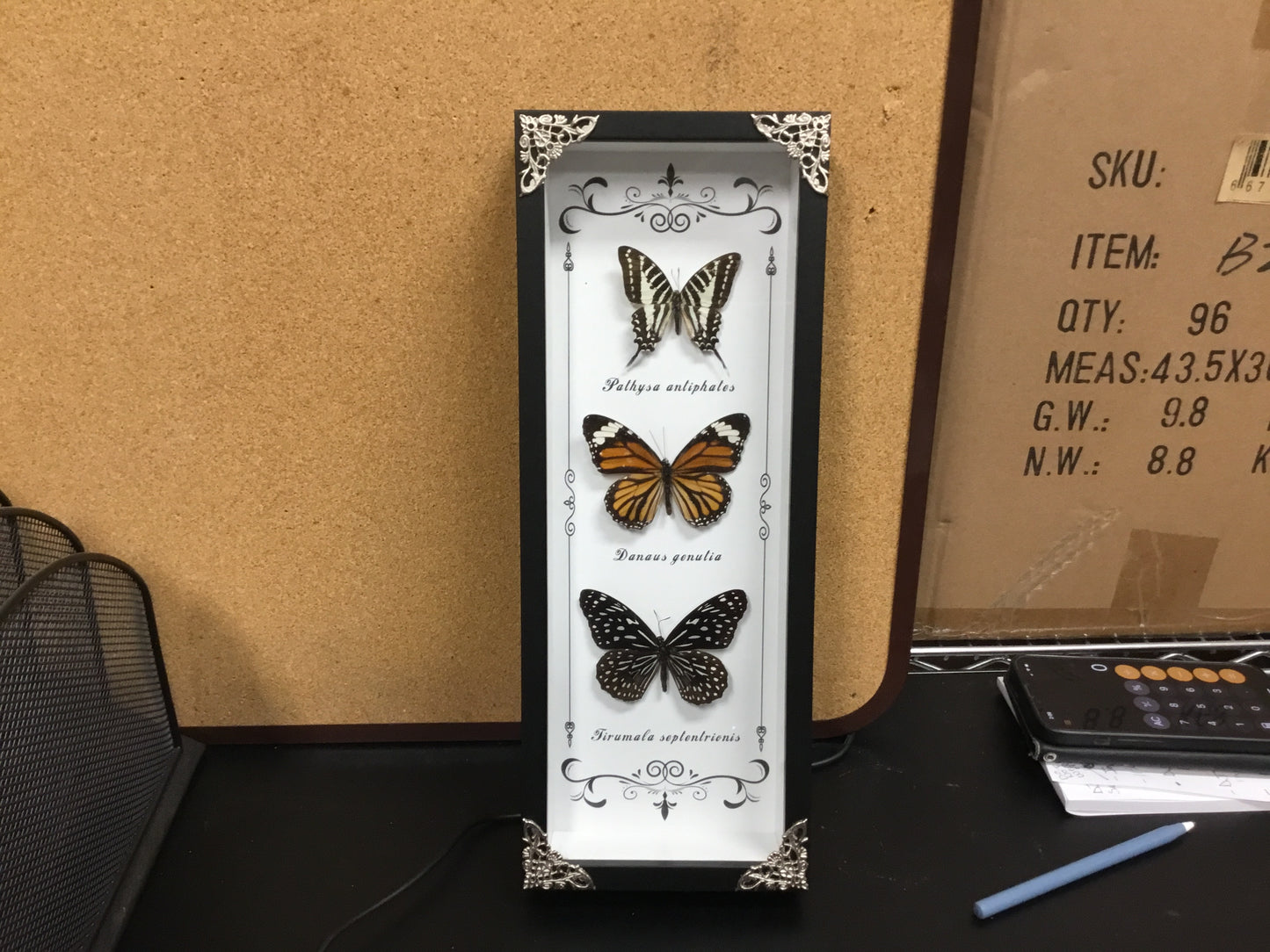 Vertically Black Framed Butterflies