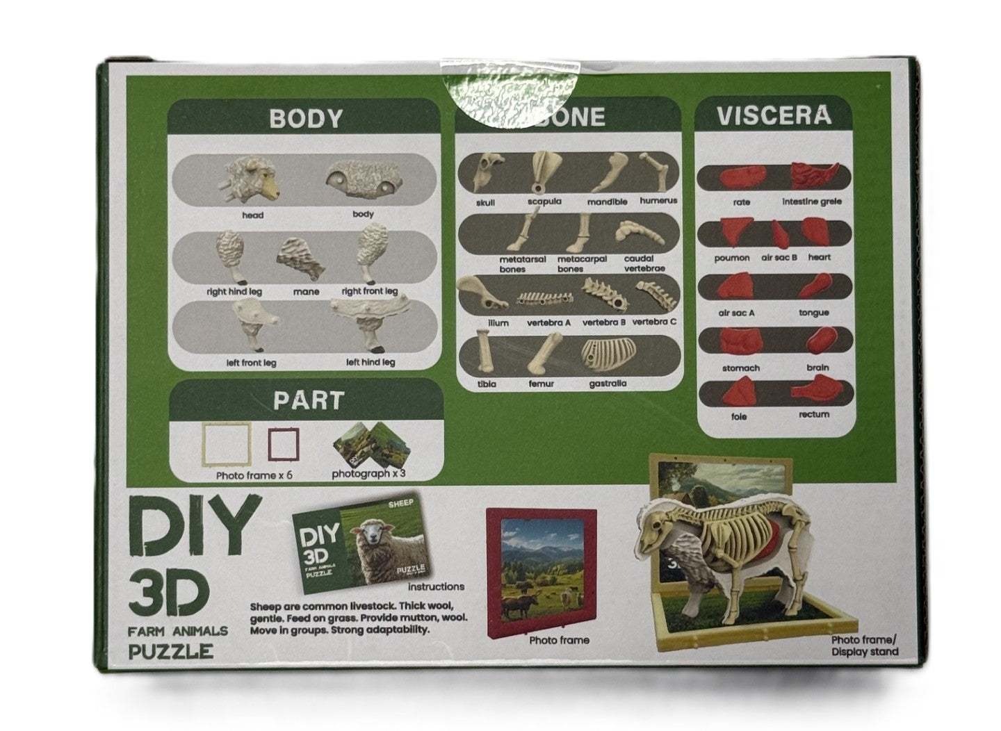 3D DIY Sheep Body & Bone Puzzle-STEM