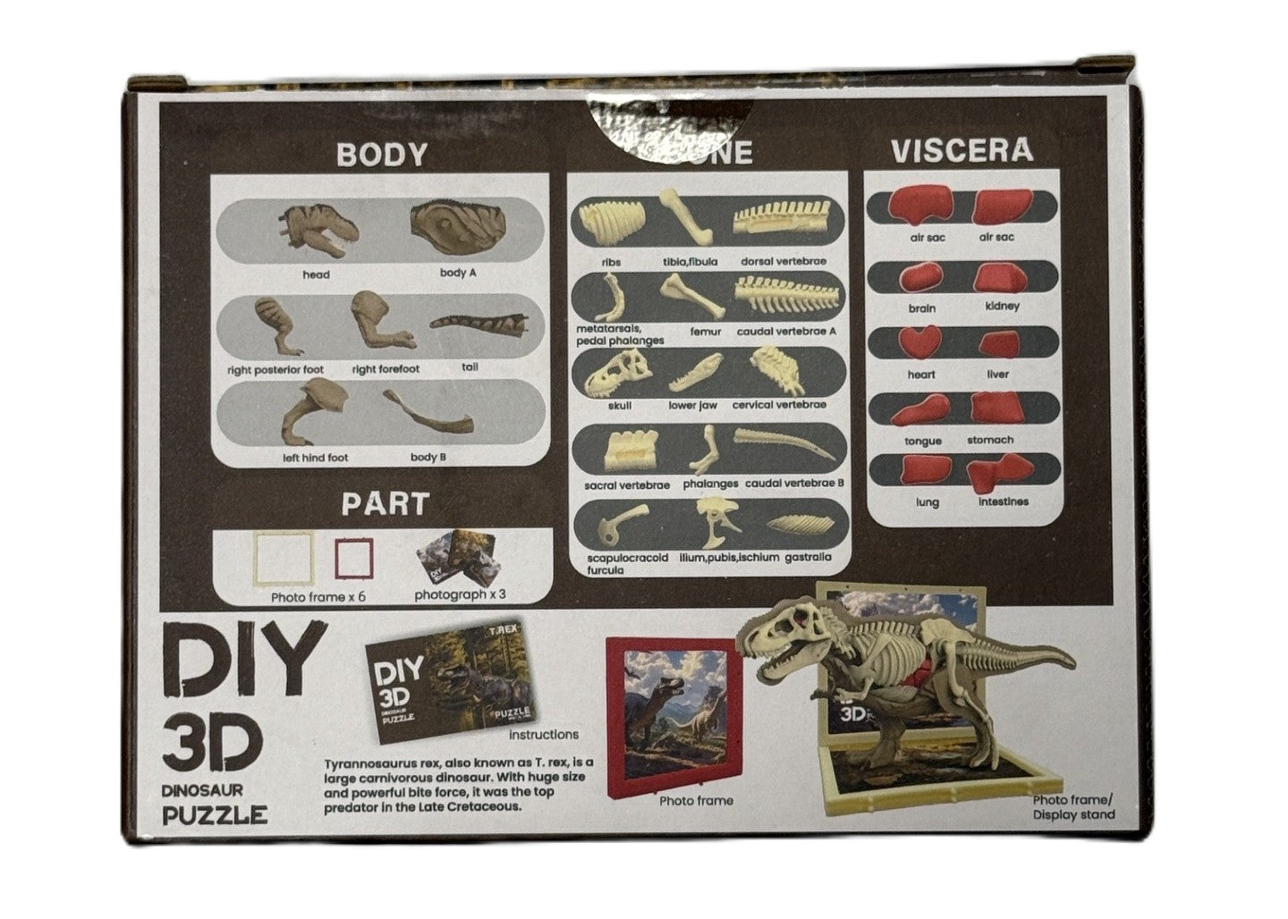 3D DIY Tyrannosaurus Rex Body & Bone Puzzle-STEM