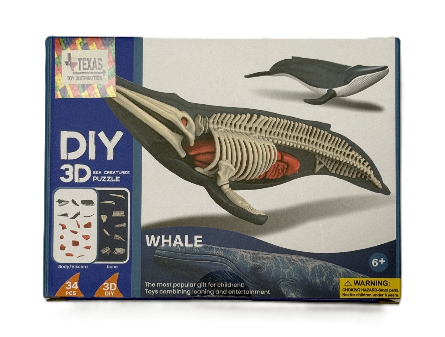 3D DIY Whale & Bone Puzzle-STEM