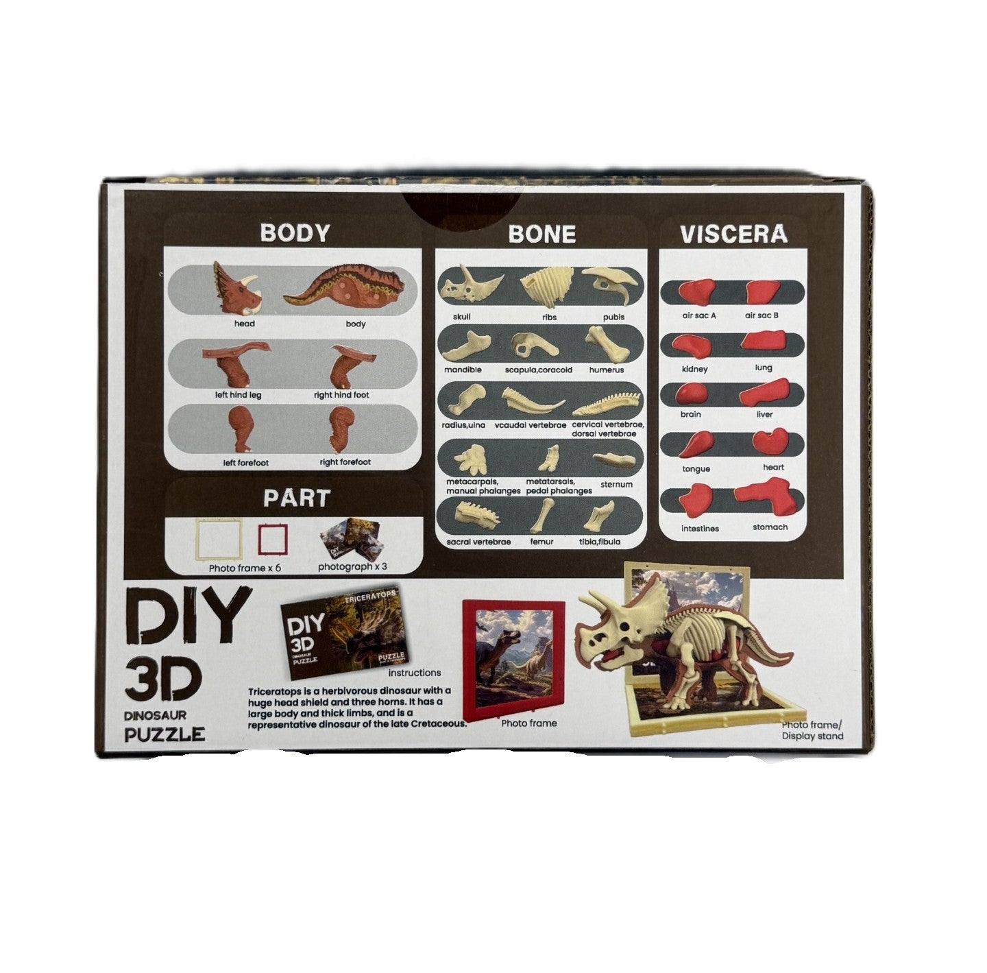 3D DIY Triceratops Body & Bone Puzzle-STEM