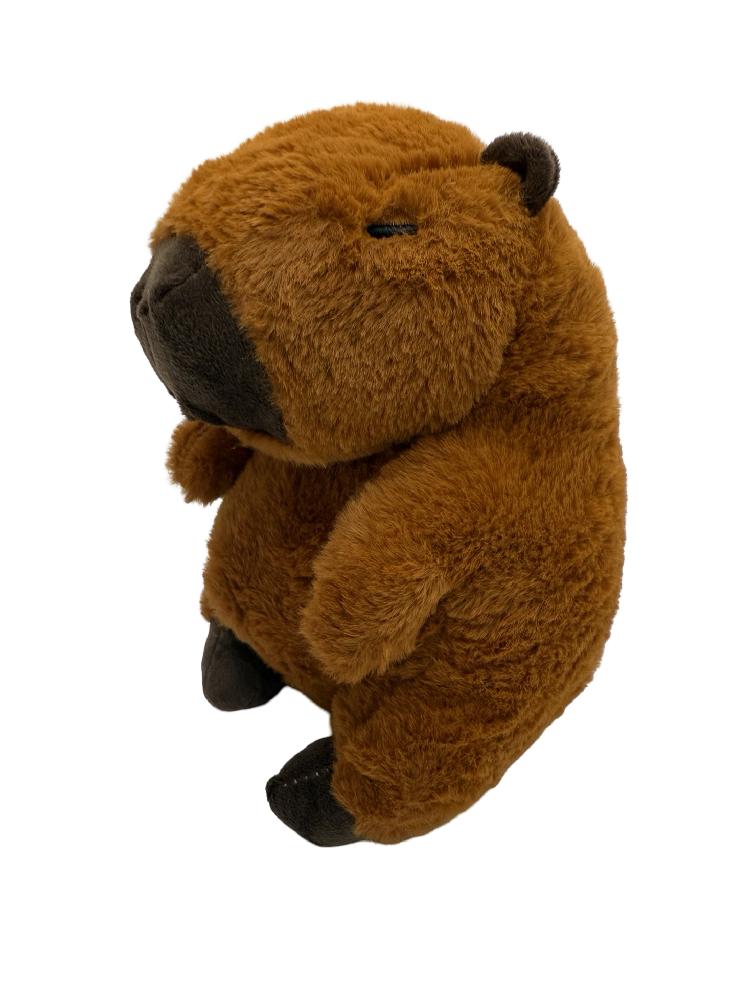 Capybara plush (approx 8” tall)
