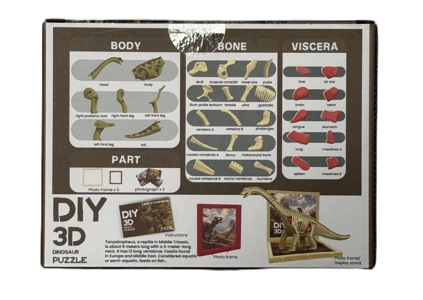 3D DIY Brachiosaurus Body & Bone Puzzle-STEM