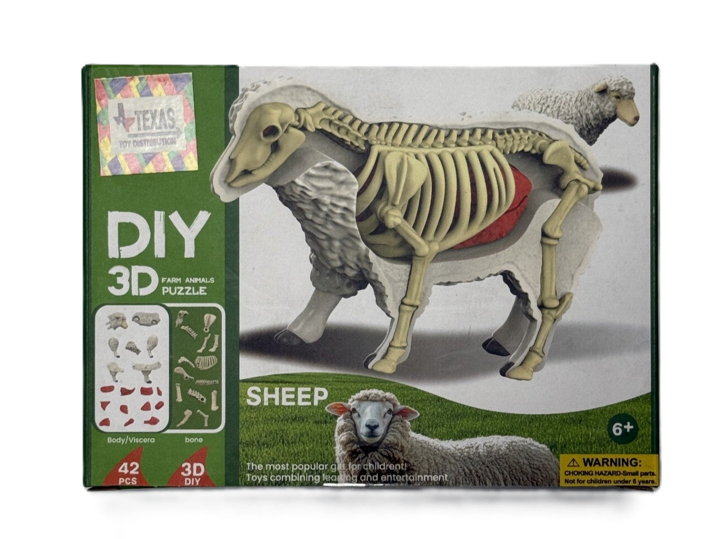 3D DIY Sheep Body & Bone Puzzle-STEM