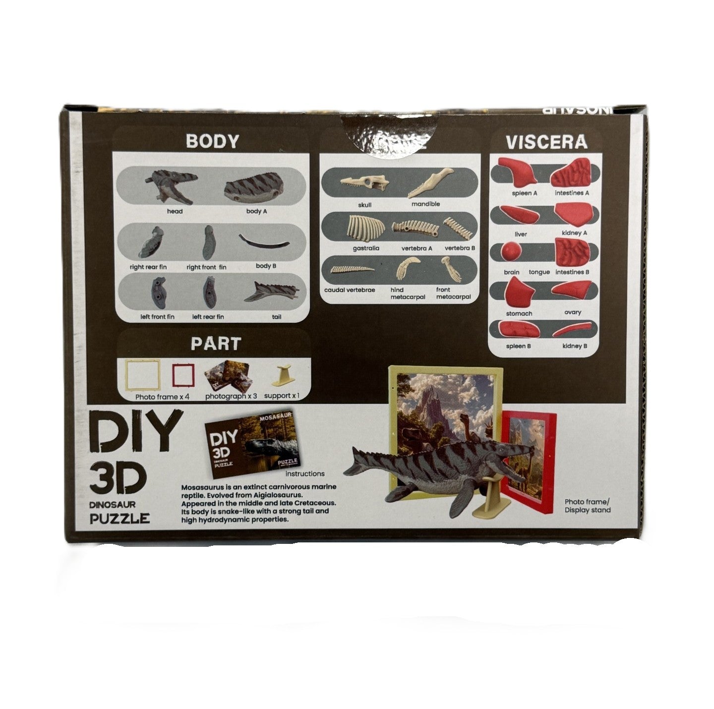 3D DIY Mosasaur Body & Bone Puzzle-STEM
